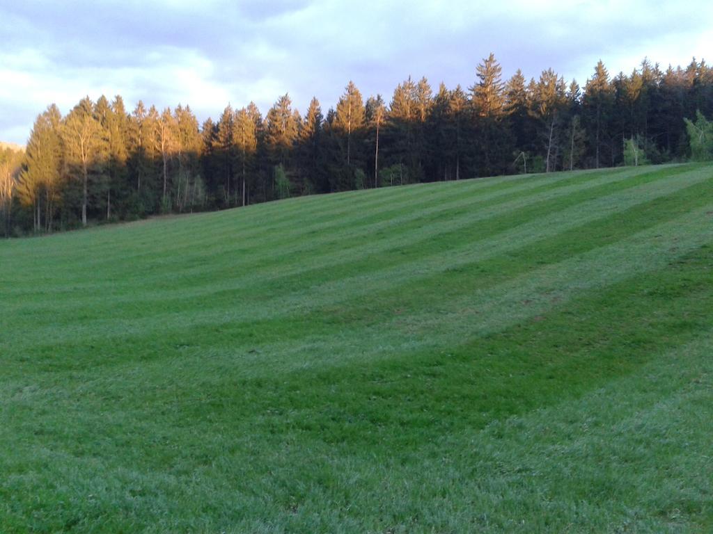 Farm Stay Rotovnik - Plesnik Slovenj Gradec Extérieur photo