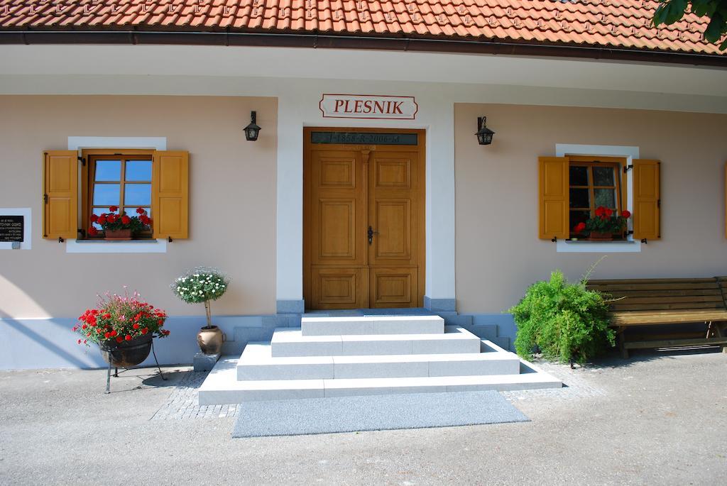 Farm Stay Rotovnik - Plesnik Slovenj Gradec Extérieur photo
